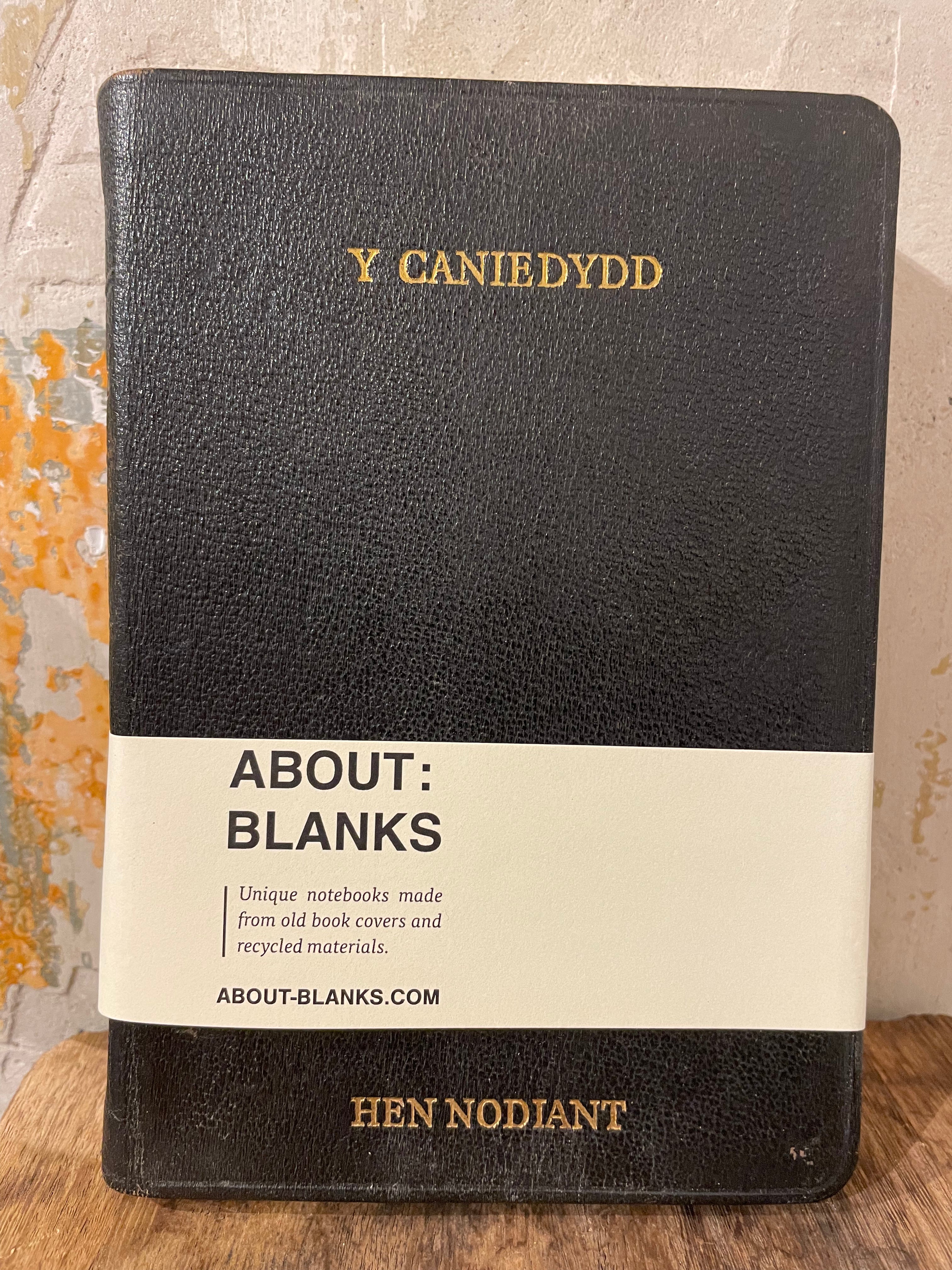Cuaderno sobre espacios en blanco - n.º 133