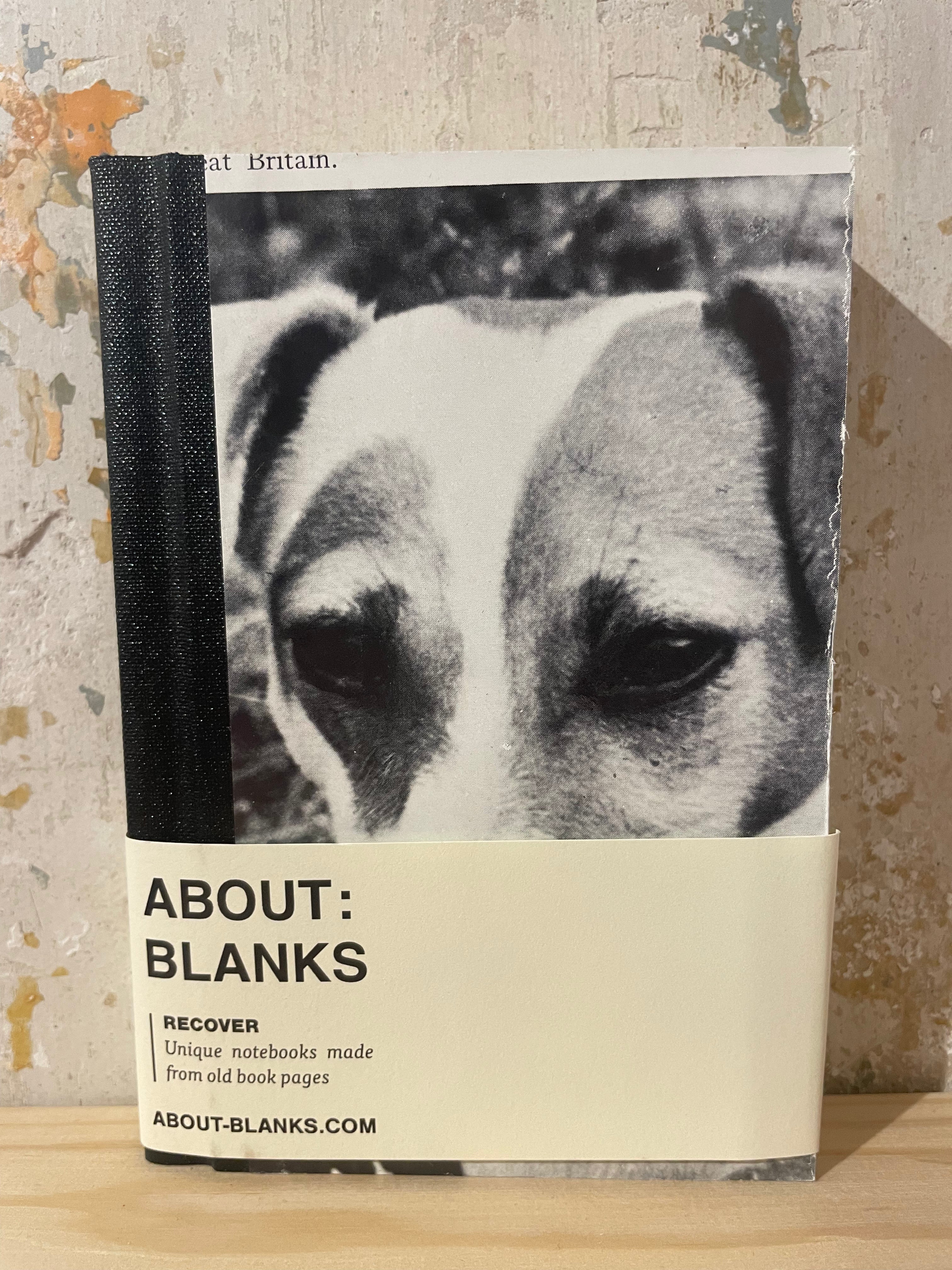 Notebook About Blanks - A6 nr 270