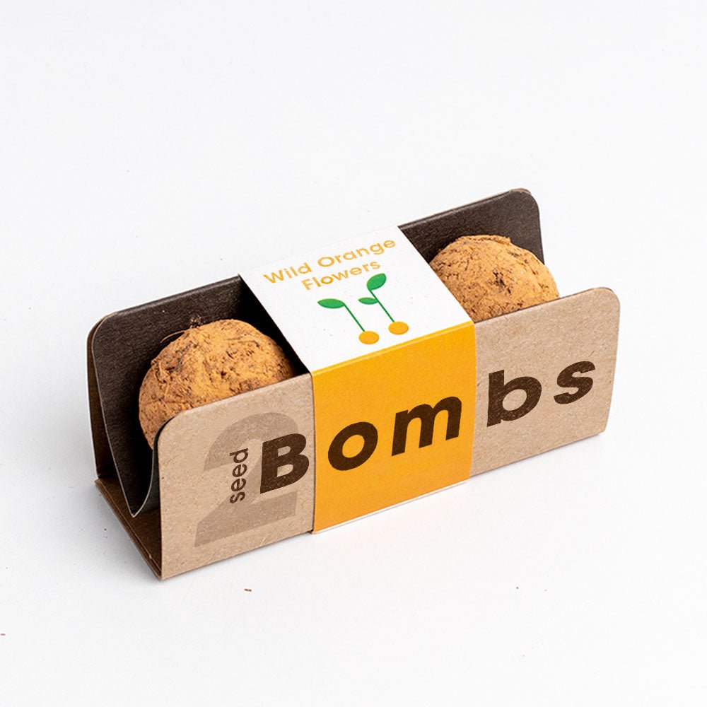Bombas - Biodiversity Bombs - Flores Silvestres Naranjas (Wild Orange Flowers) - Musgo Bazar