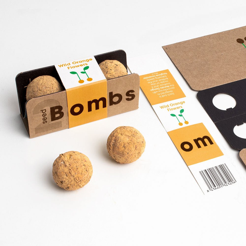 Bombas - Biodiversity Bombs - Flores Silvestres Naranjas (Wild Orange Flowers) - Musgo Bazar