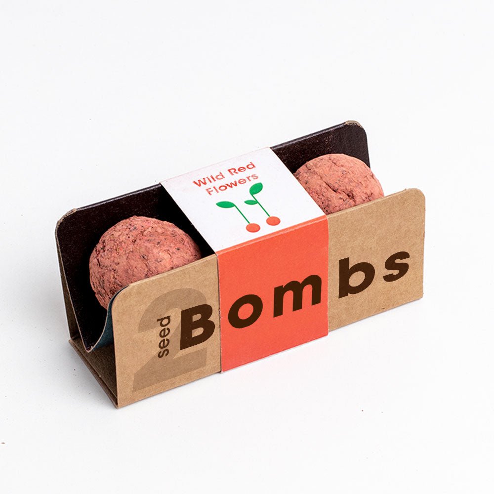 Bombas - Biodiversity Bombs - Flores Silvestres Rojas - Wild Red Flowers - Musgo Bazar
