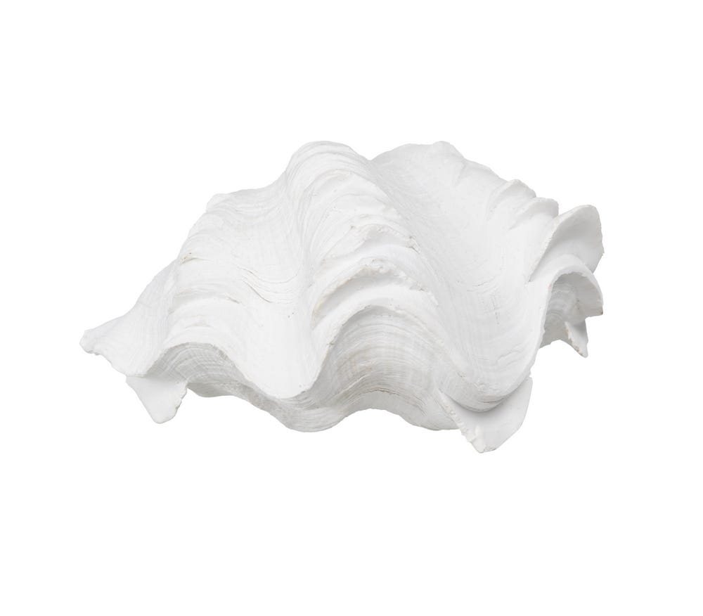 FIGURE SEASHELL WHITE RESIN DECORATION 14 X 7 X 10 CM - Musgo Bazar