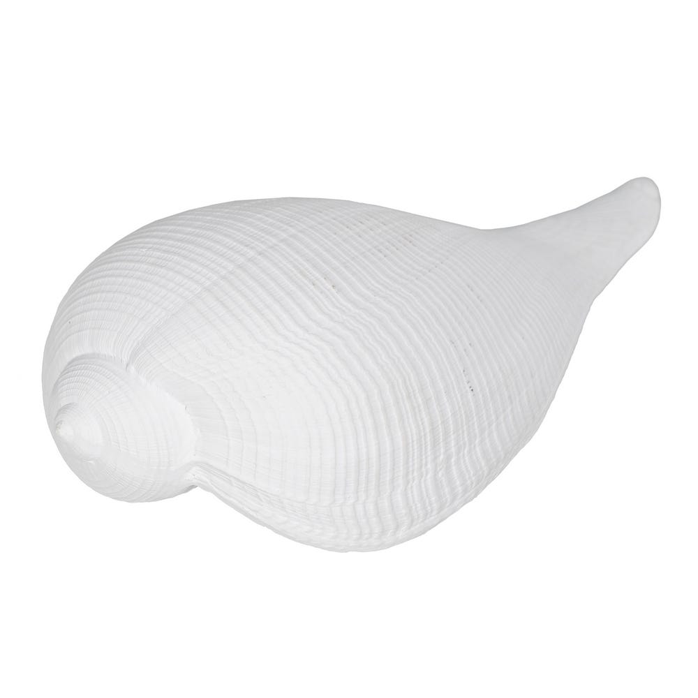 FIGURE SEASHELL WHITE RESIN DECORATION 15 X 7 X 5 CM - Musgo Bazar