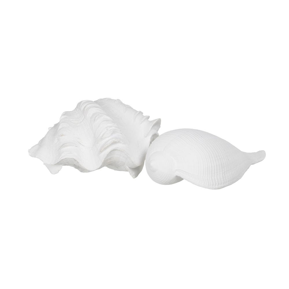 FIGURE SEASHELL WHITE RESIN DECORATION 15 X 7 X 5 CM - Musgo Bazar