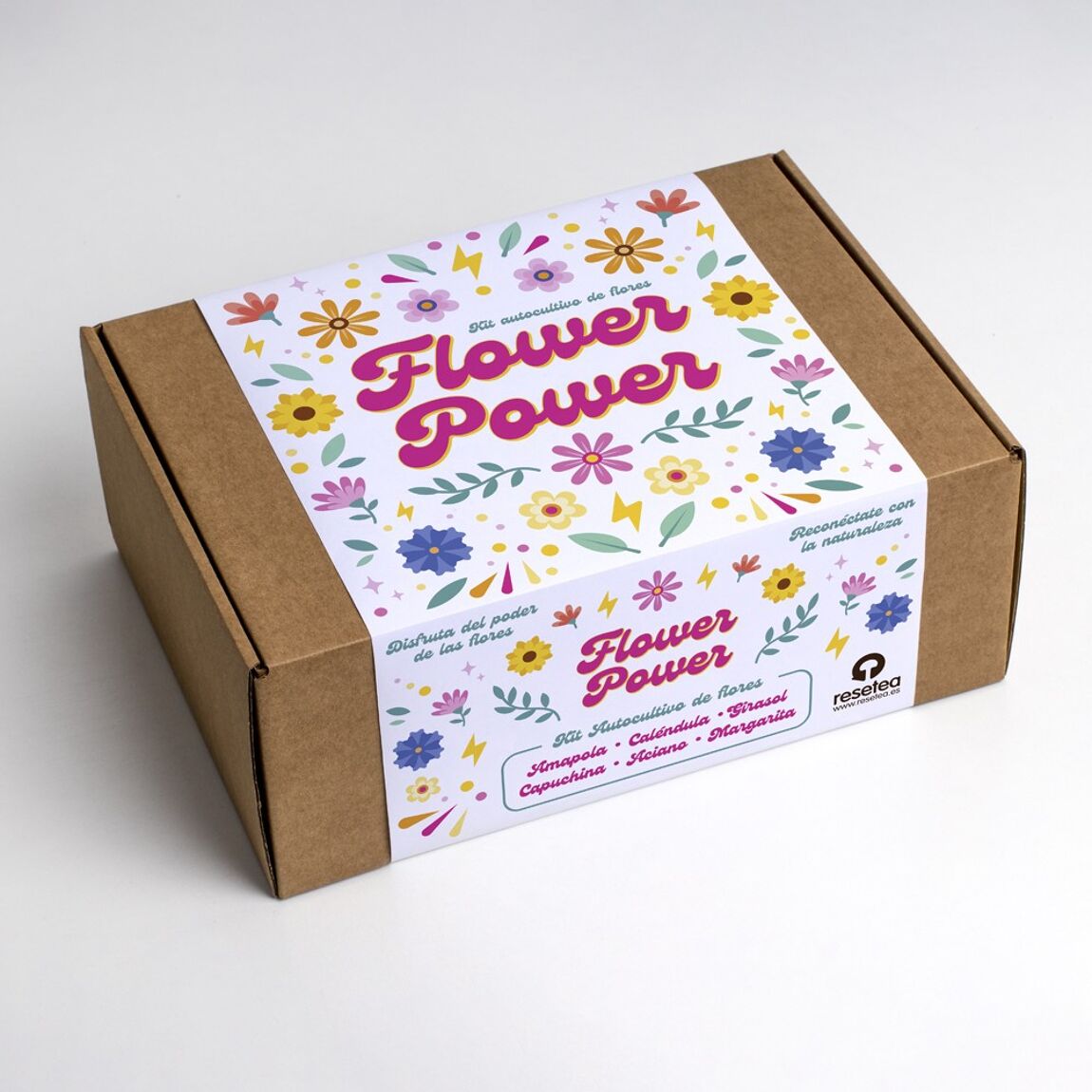 Flower Power - Flower Kit - Musgo Bazar