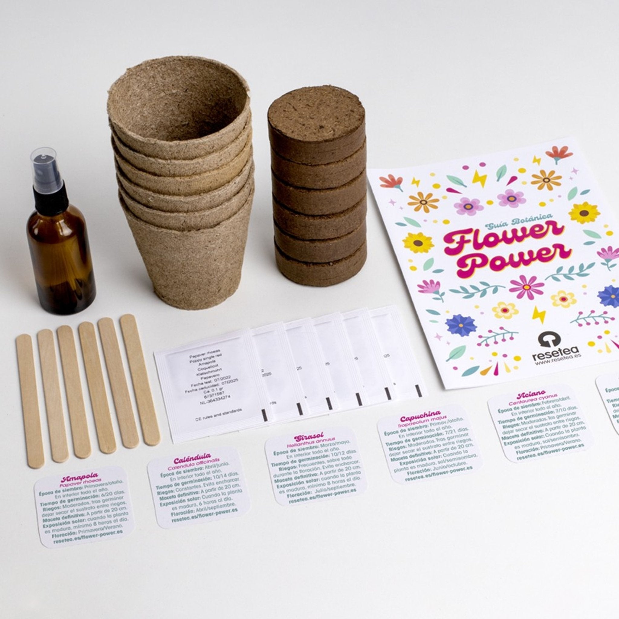 Flower Power - Flower Kit - Musgo Bazar