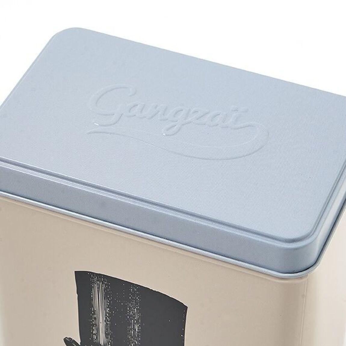 Gangzai - Box Aristo Fish - Musgo Bazar