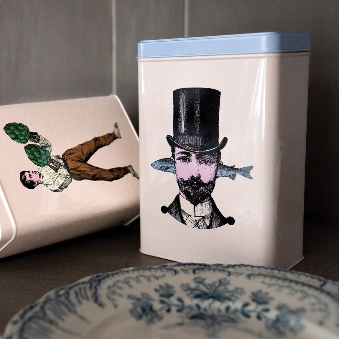 Gangzai - Box Aristo Fish - Musgo Bazar