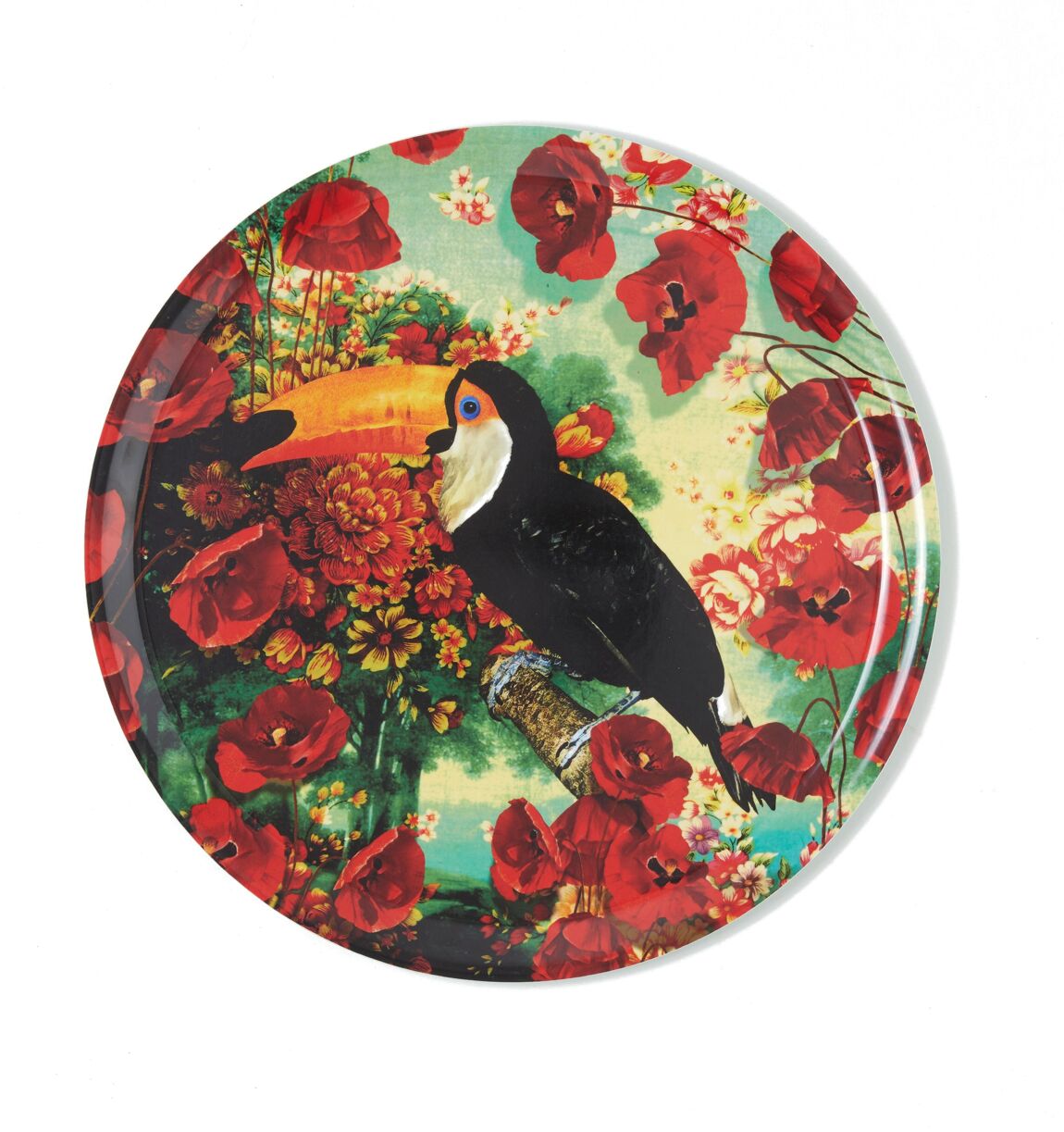 Gangzai - Tray Touclicot - Musgo Bazar