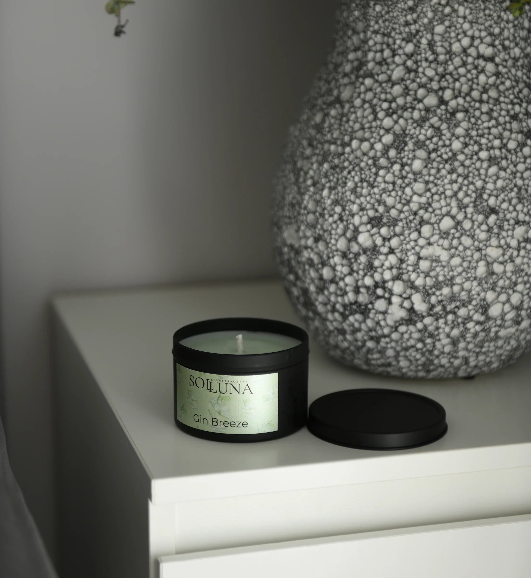 Gin Breeze Candle – Fresh Lime, Juniper & Cedarwood - Musgo Bazar