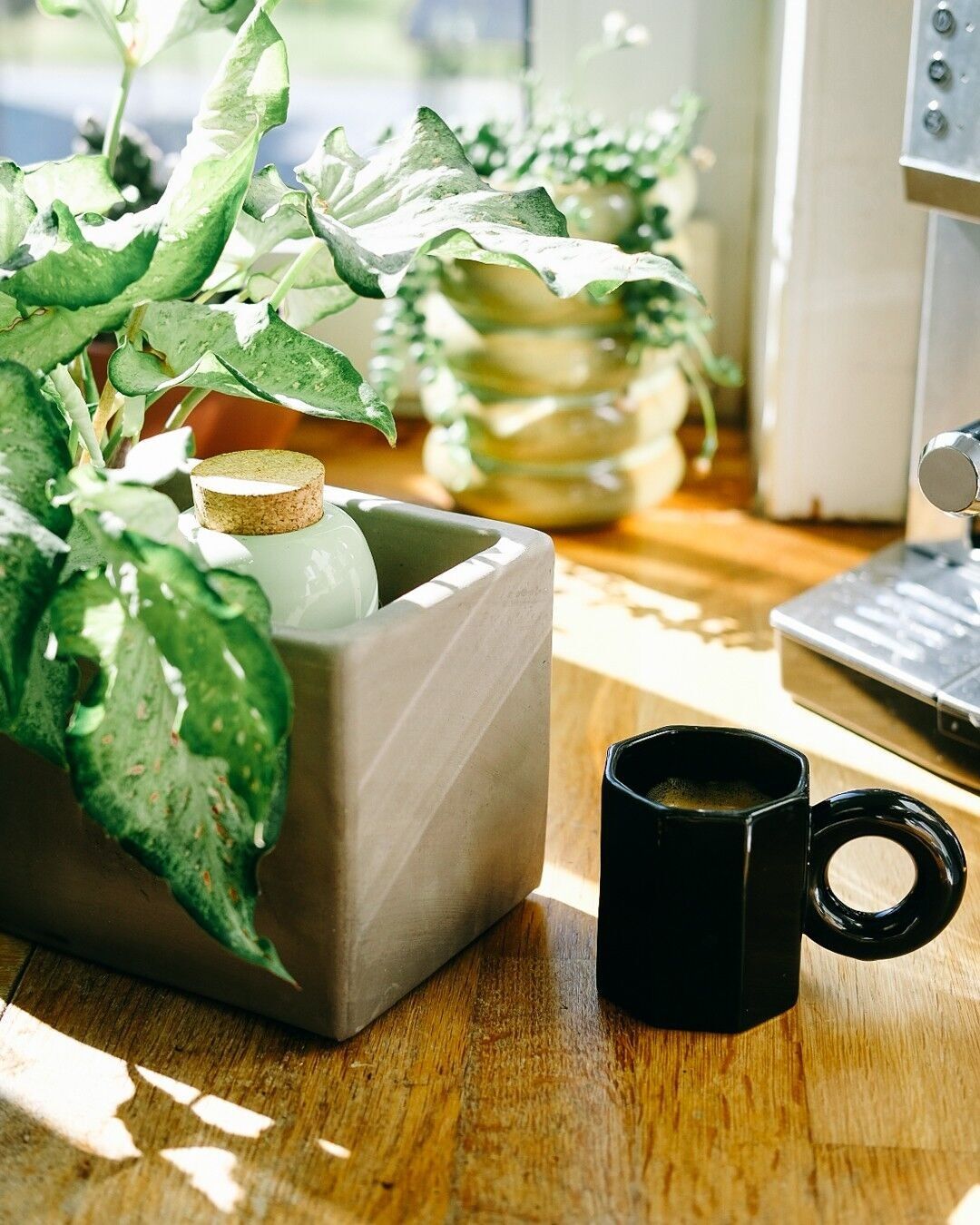 Moisturizing Olla - Green - Musgo Bazar