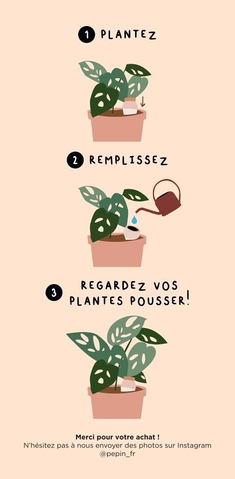 Moisturizing Olla - Green and White Striped - Musgo Bazar