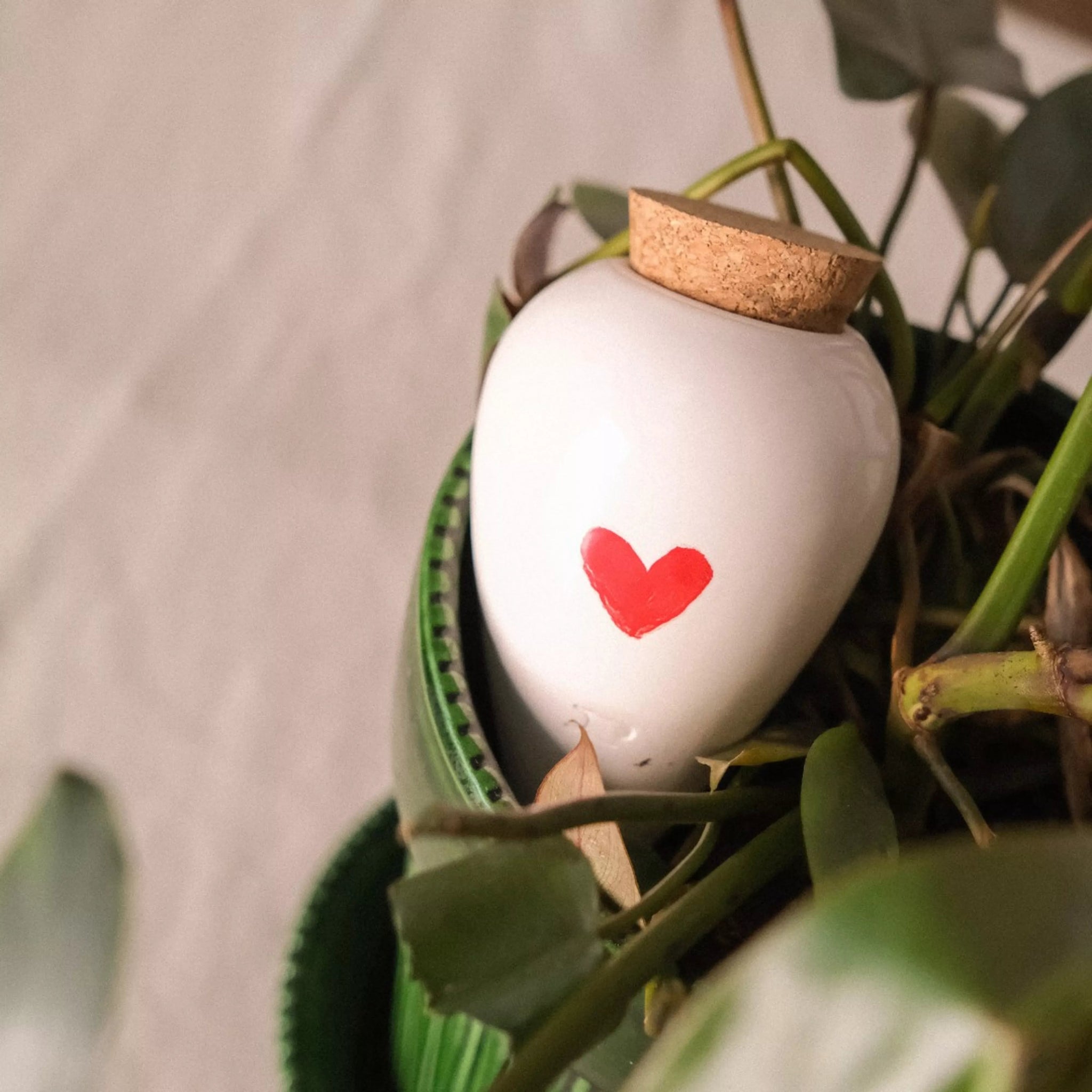 Moisturizing Olla - Heart - Musgo Bazar