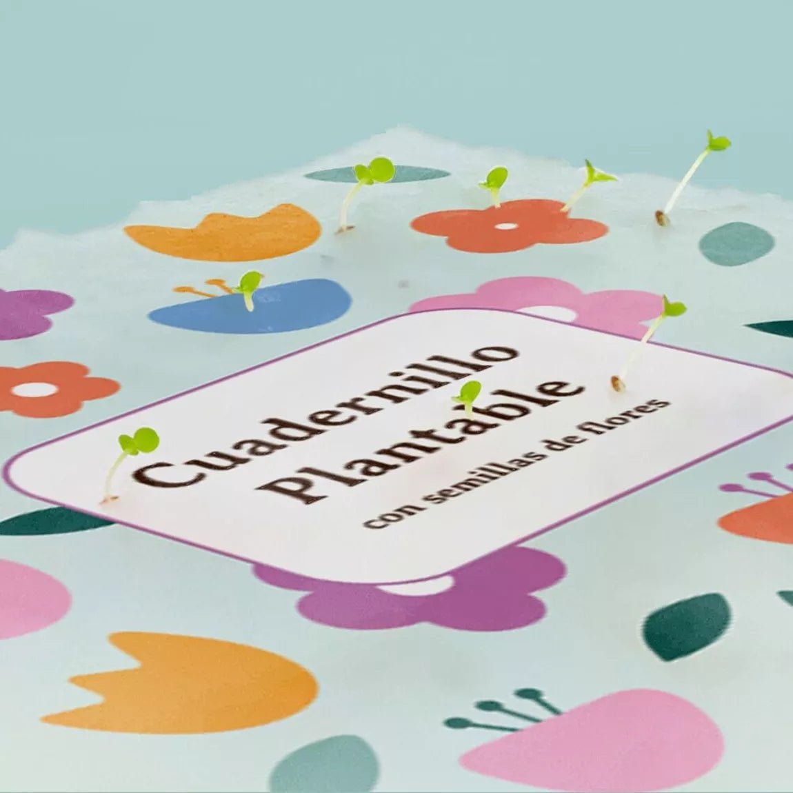 Plantable Notebook - Flores - Musgo Bazar