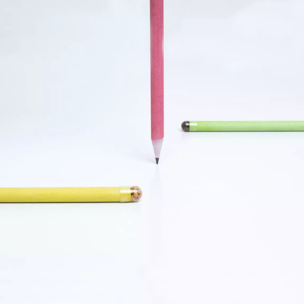 Plantable Pencils - Mostaza (Mustard) - Musgo Bazar