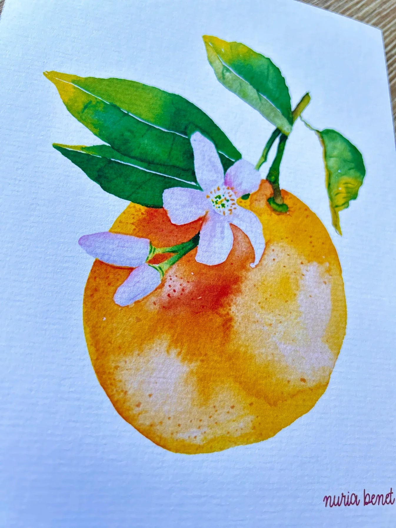 Print Nuria - Naranja - Musgo Bazar