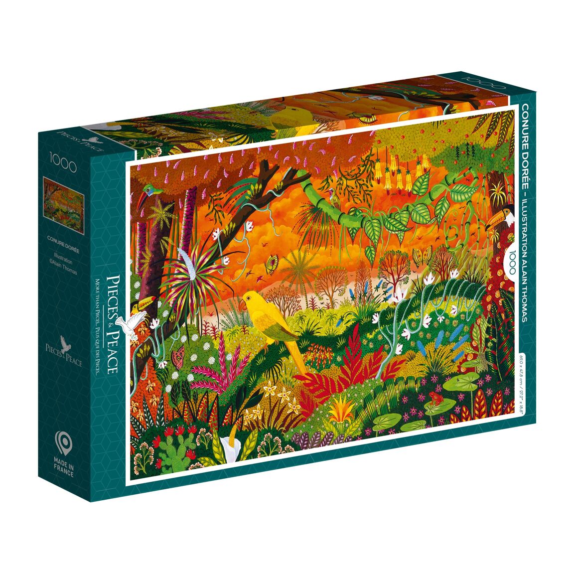 Puzzle - Conure Doree - 1000 pieces - Musgo Bazar