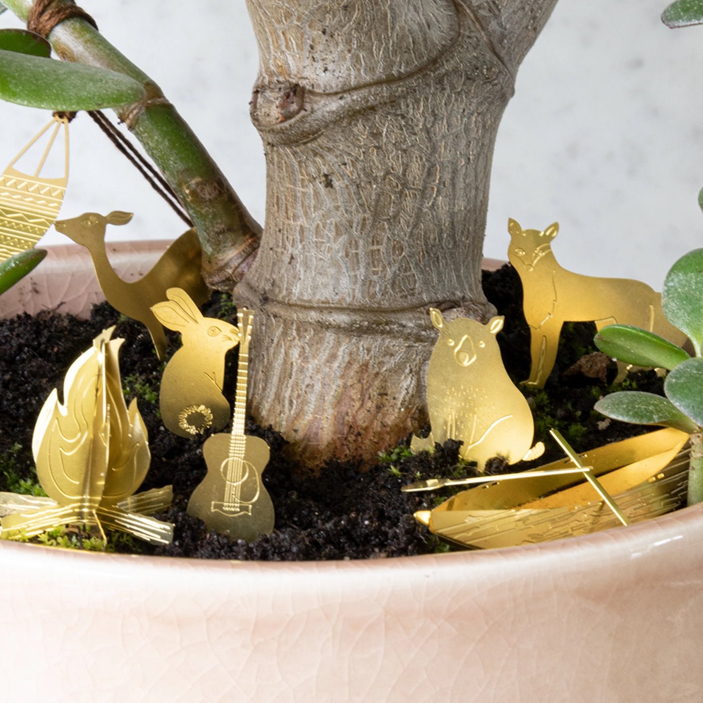 Tiny Camping For Your Plants - Musgo Bazar