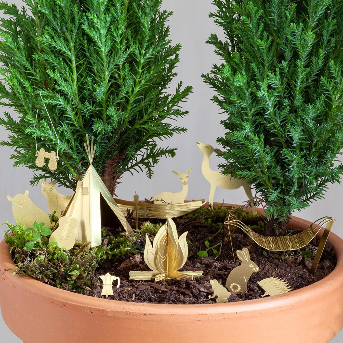 Tiny Camping For Your Plants - Musgo Bazar