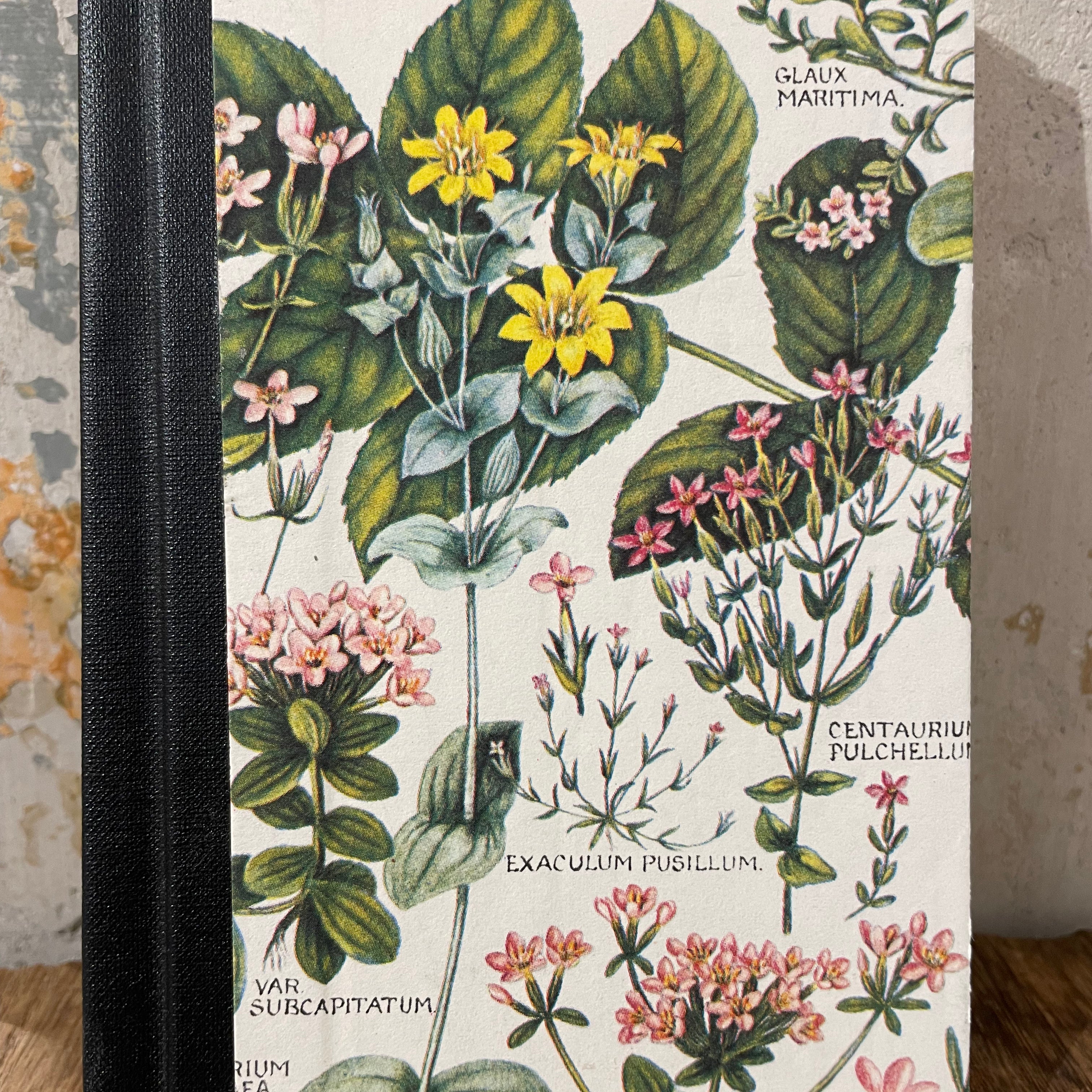 Notebook About Blanks - A6 nr 113