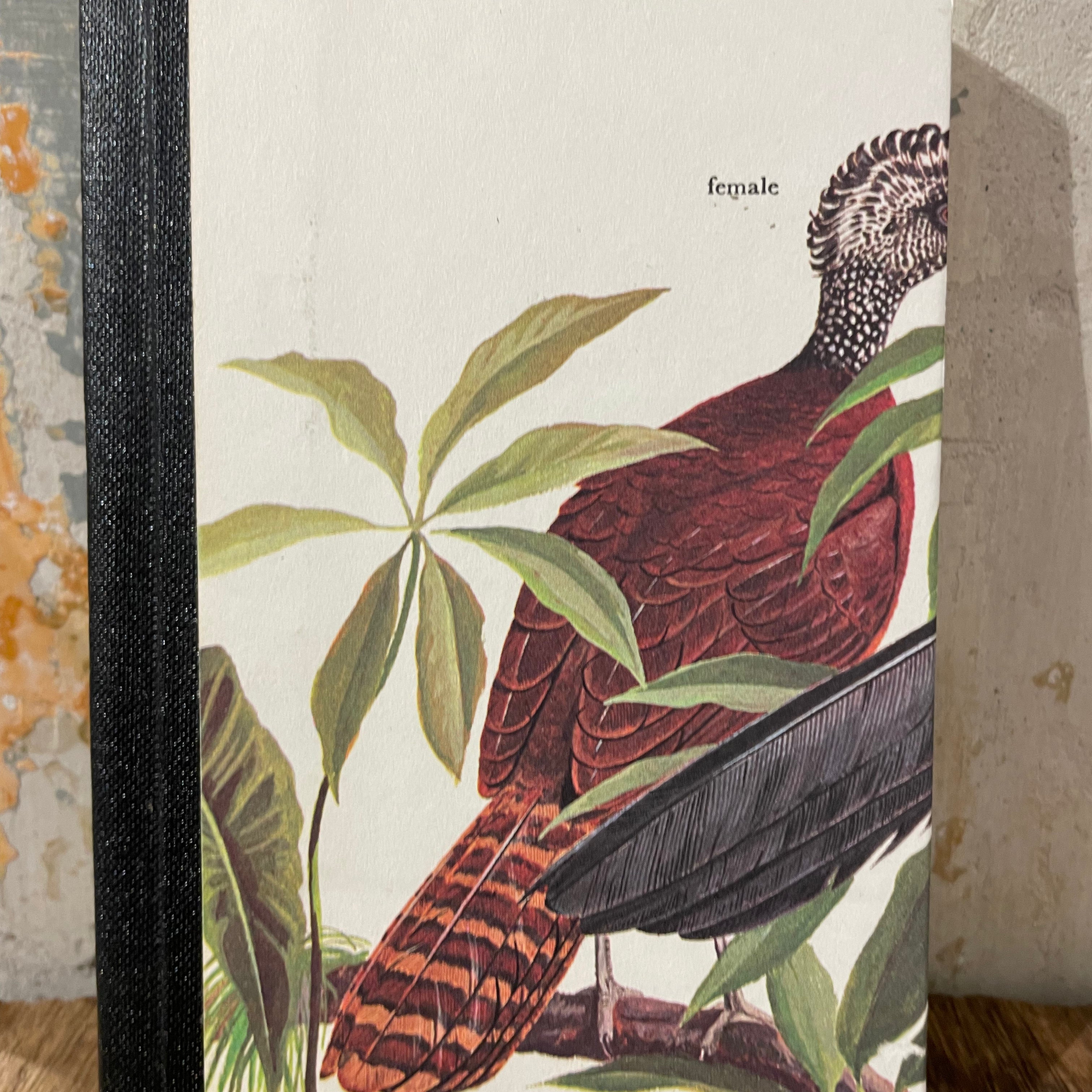 Notebook About Blanks - A6 nr 112