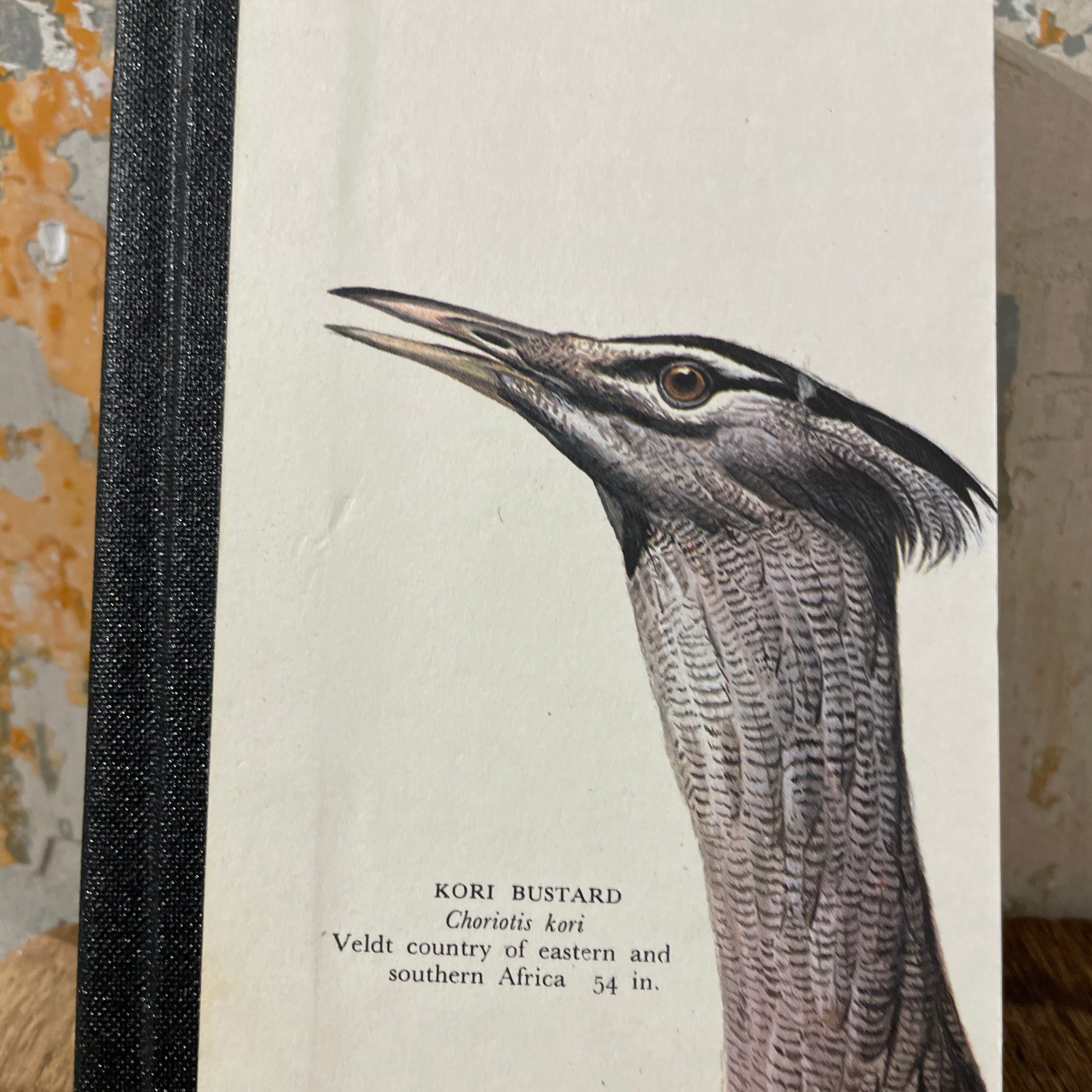 Notebook About Blanks - A6 nr 110