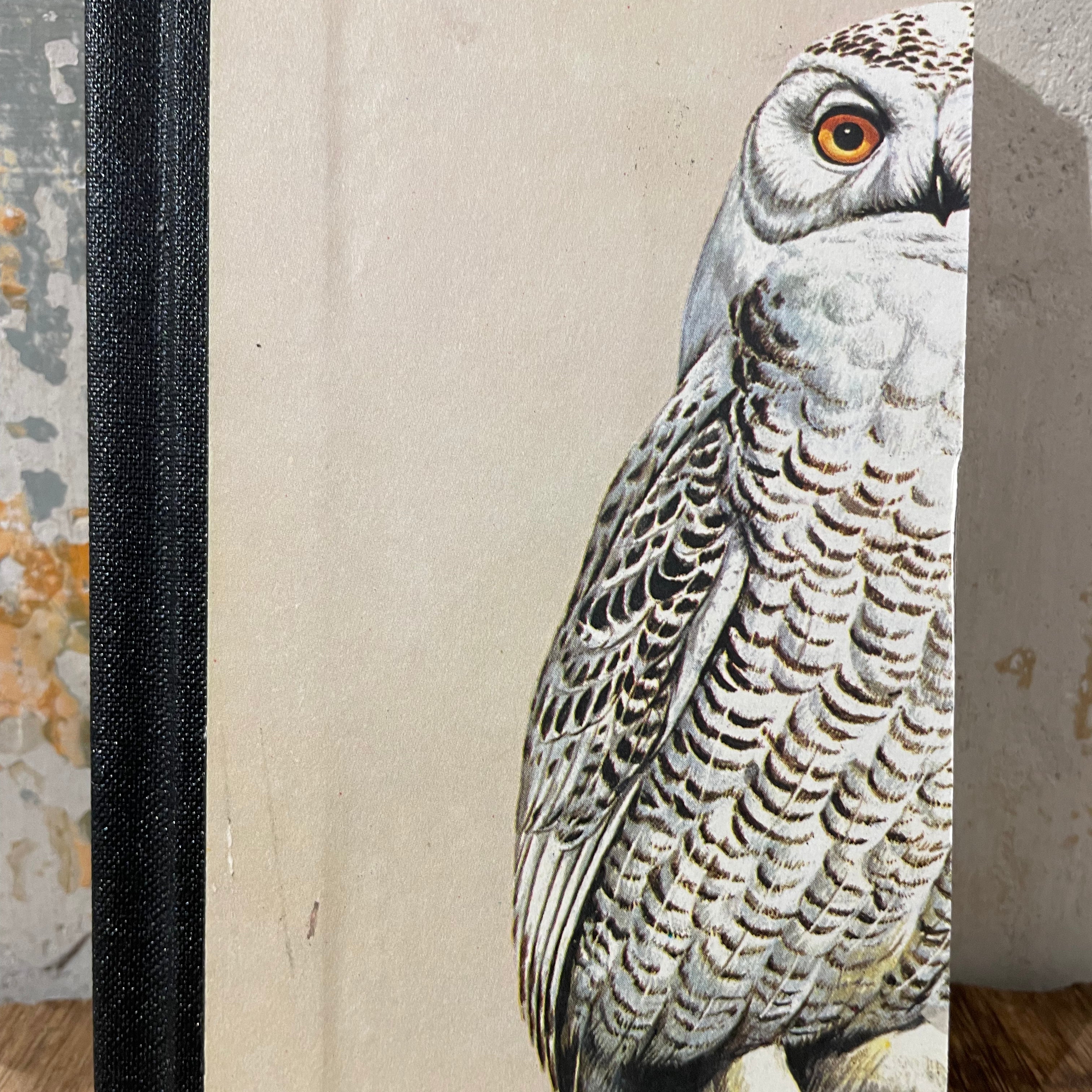 Notebook About Blanks - A6 nr 106