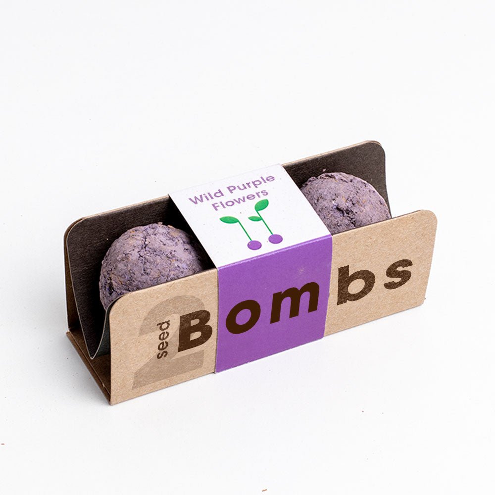Bombas - Biodiversity Bombs - Flores Silvestres Moradas (Wild Purple Flowers) - Musgo Bazar