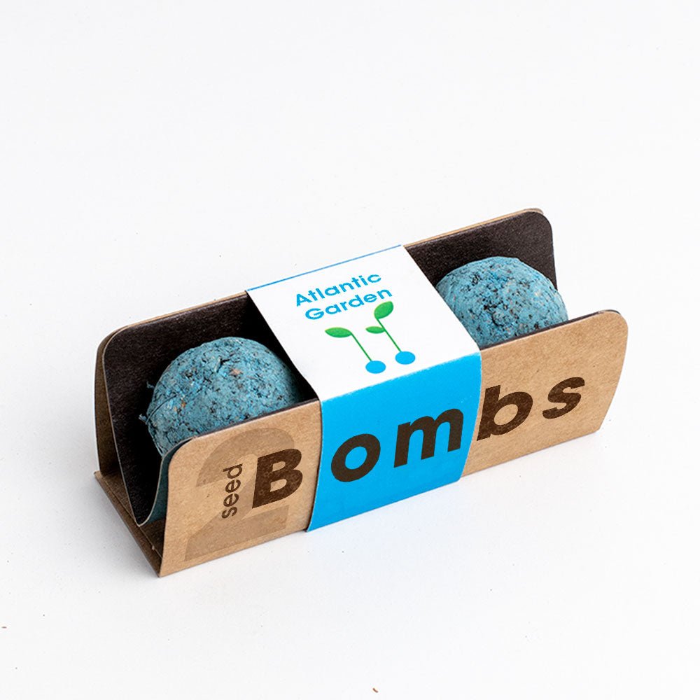 Bombas - Biodiversity Bombs - Jardin Atlantico (Atlantic Garden) - Musgo Bazar