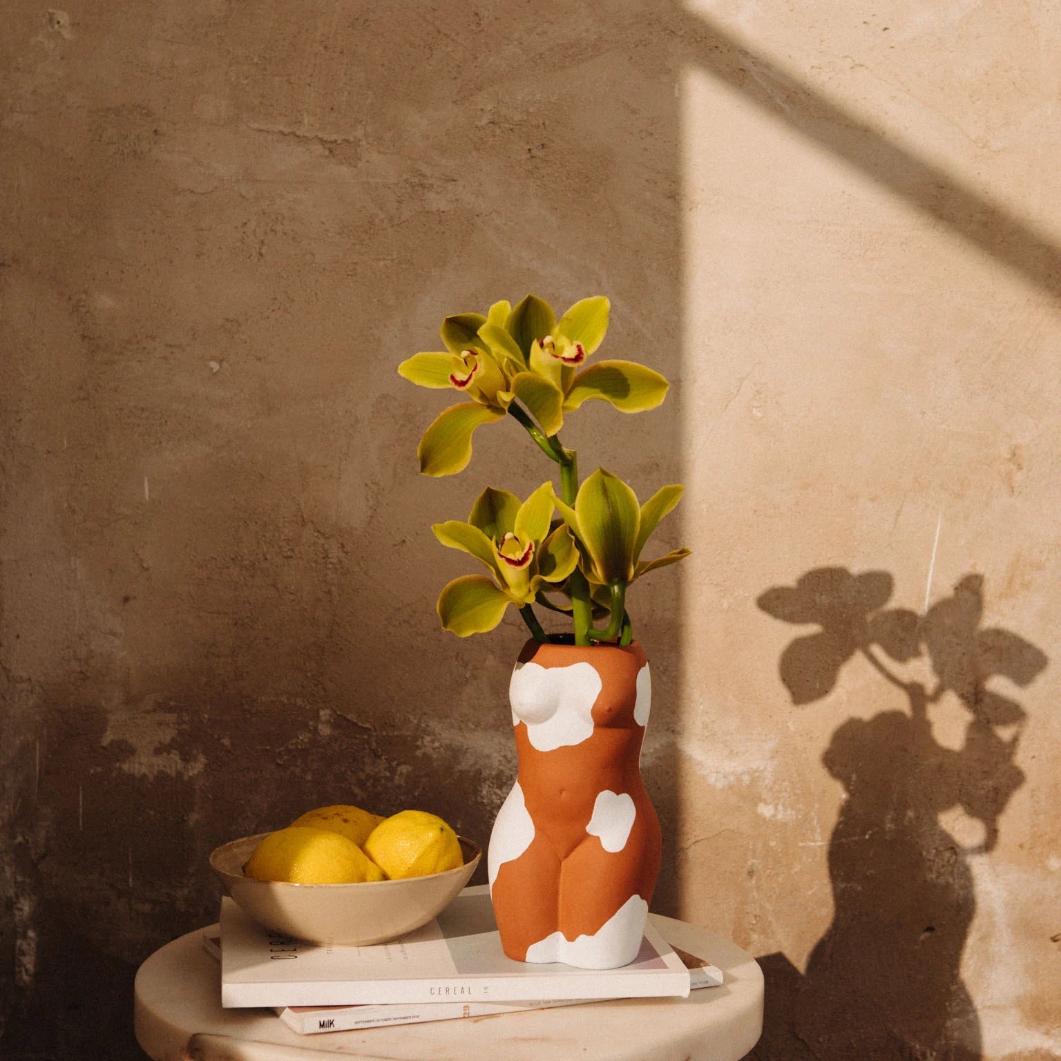 DIOY Vase - Body Vitiligo - Musgo Bazar