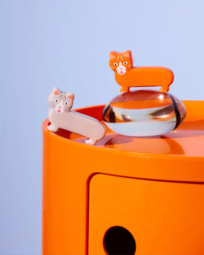 Fluid Market - Pepper and Salt Cat - Musgo Bazar