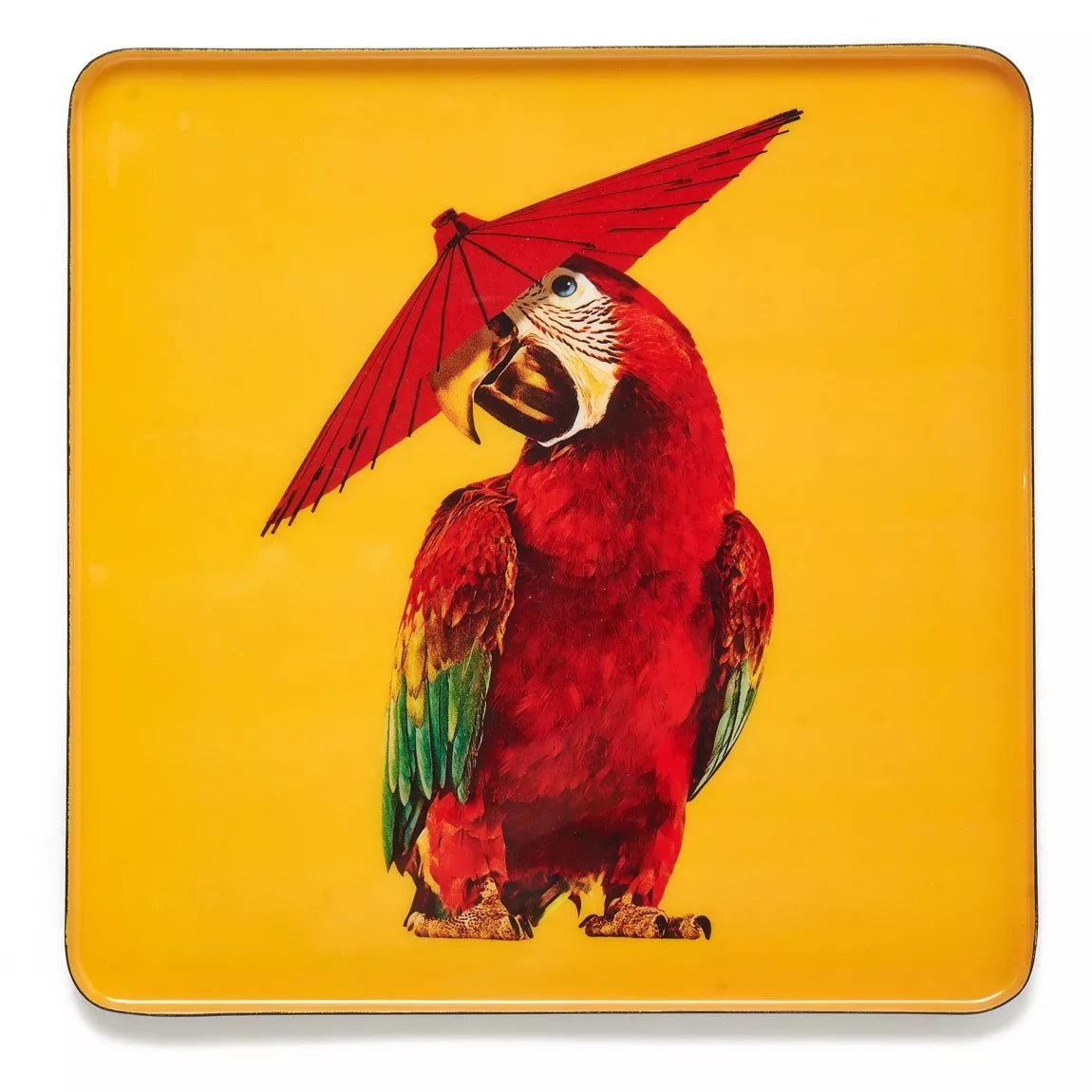 Gangzai - Square Tray - Parrot - Musgo Bazar