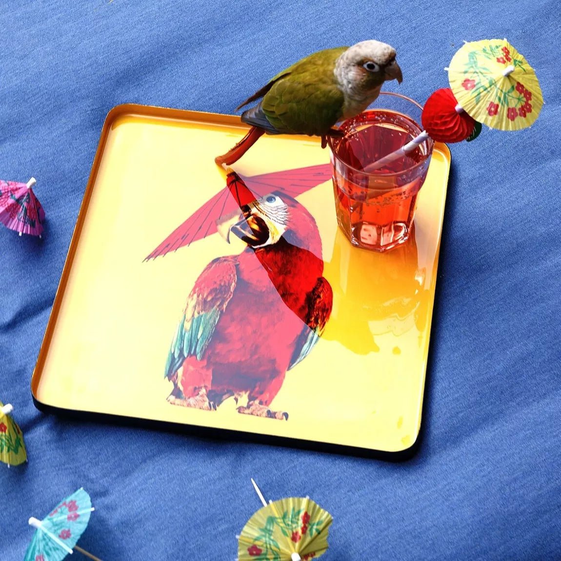 Gangzai - Square Tray - Parrot - Musgo Bazar