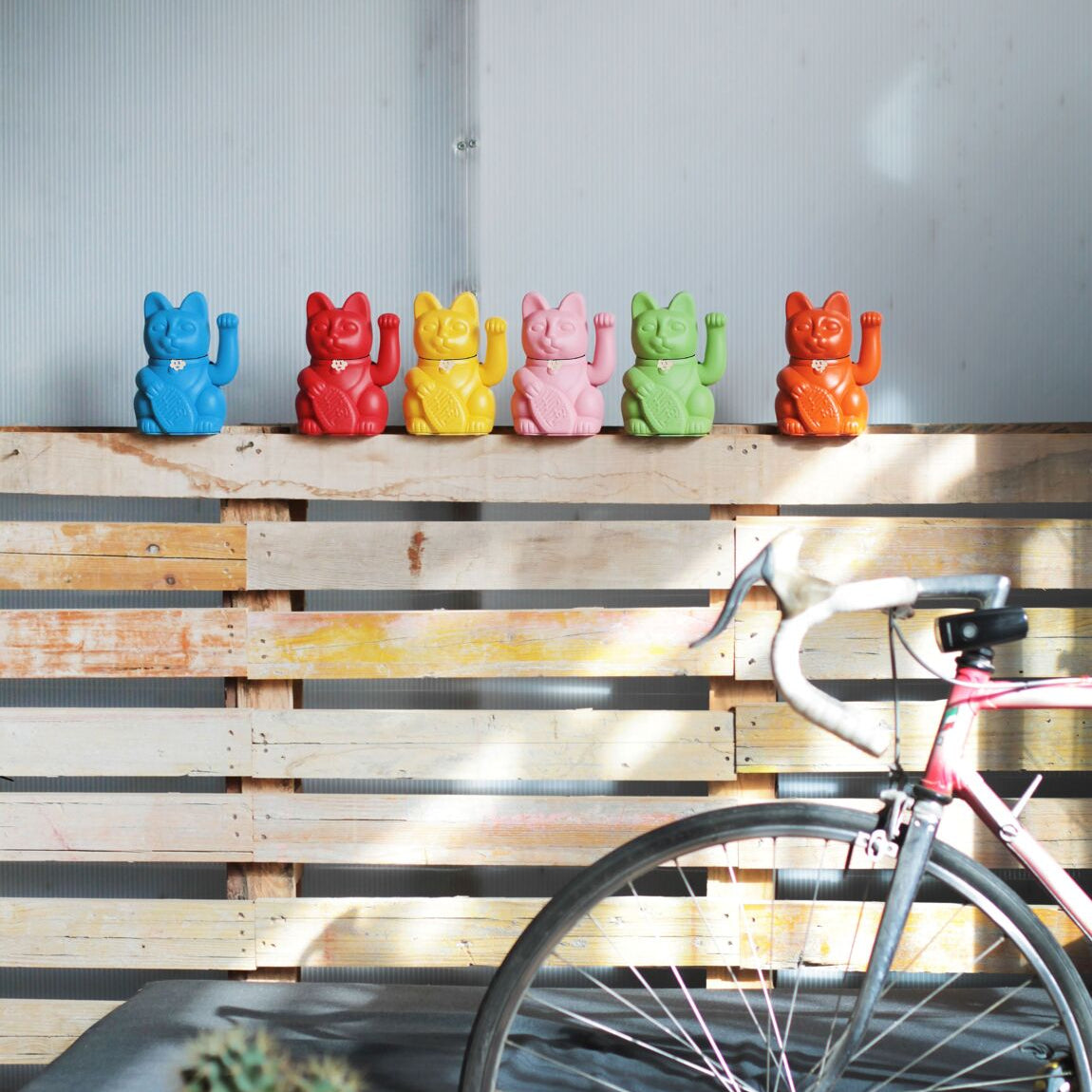 Lucky Cat - Musgo Bazar