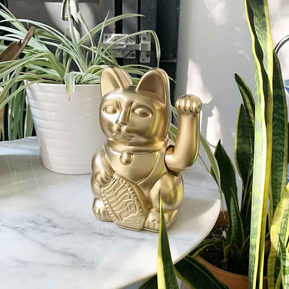 Lucky Cat - Musgo Bazar