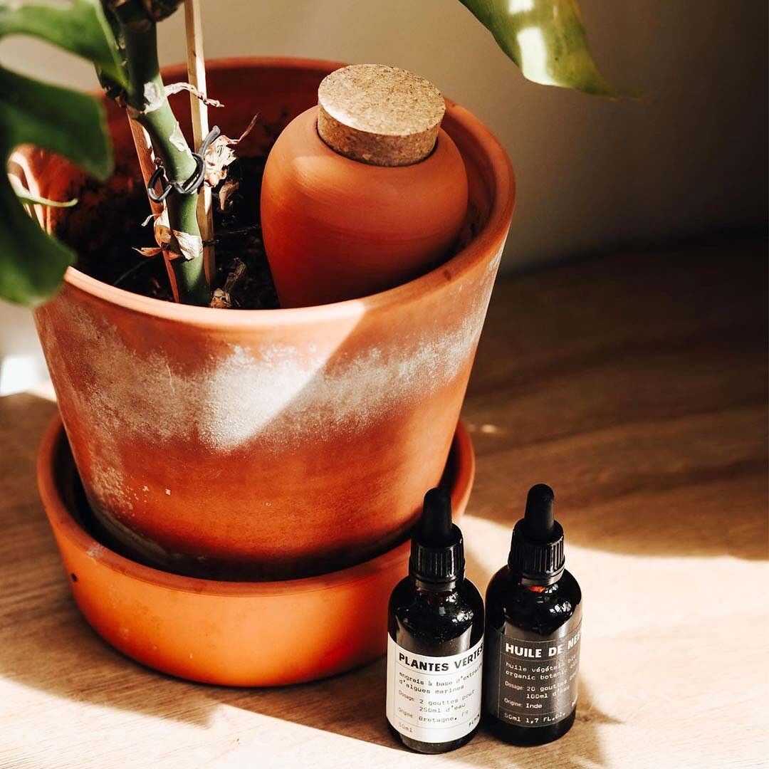 Moisturizing Olla - Terracota - Musgo Bazar