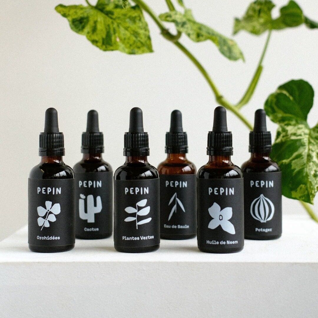 Neem Oil - Musgo Bazar
