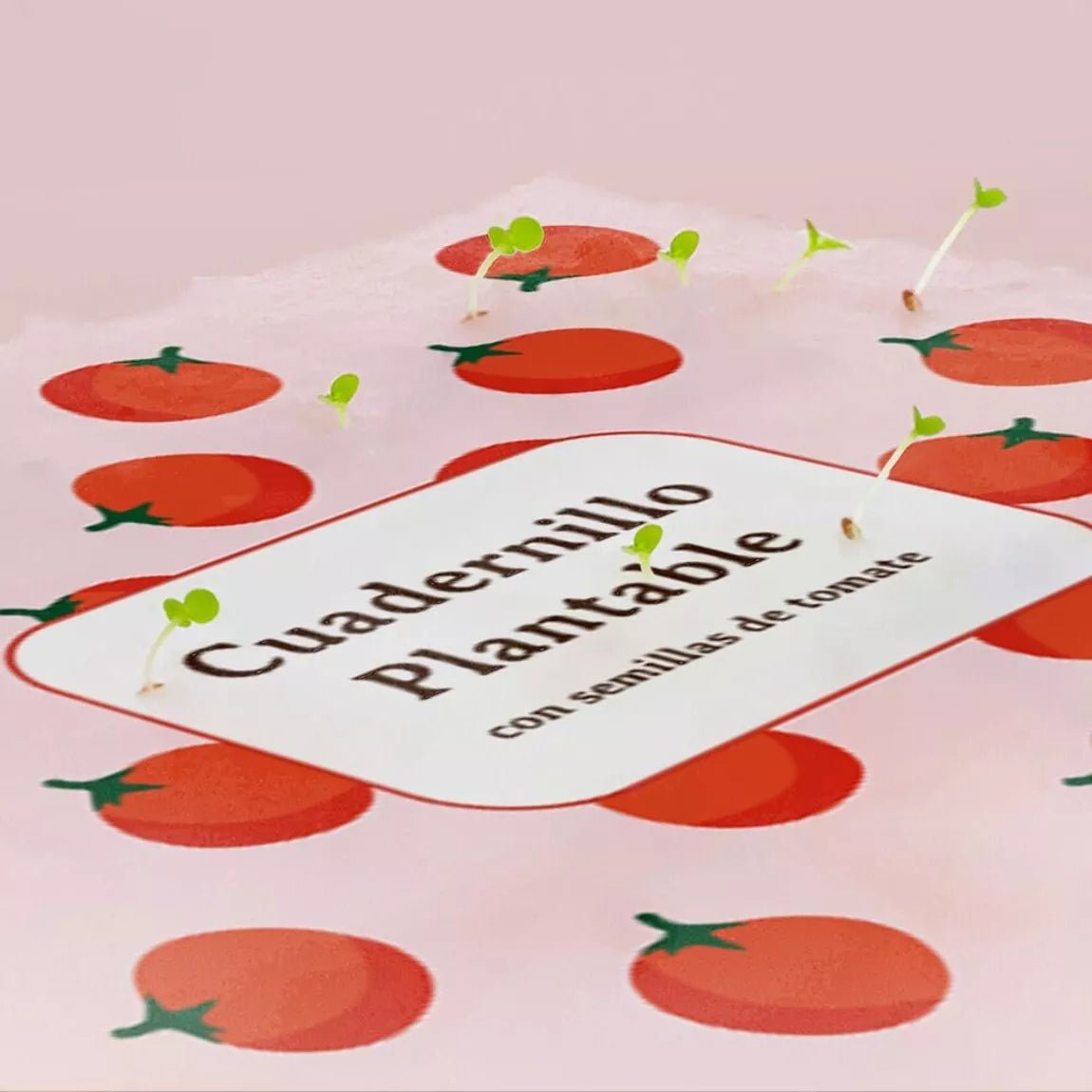 Plantable Notebook - Tomatos - Musgo Bazar