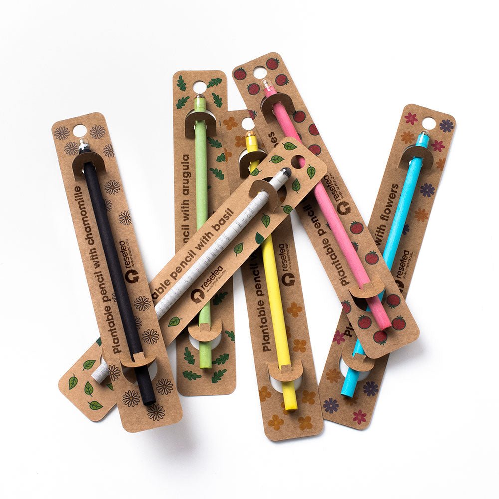 Plantable Pencils - Flores (Flowers) - Musgo Bazar