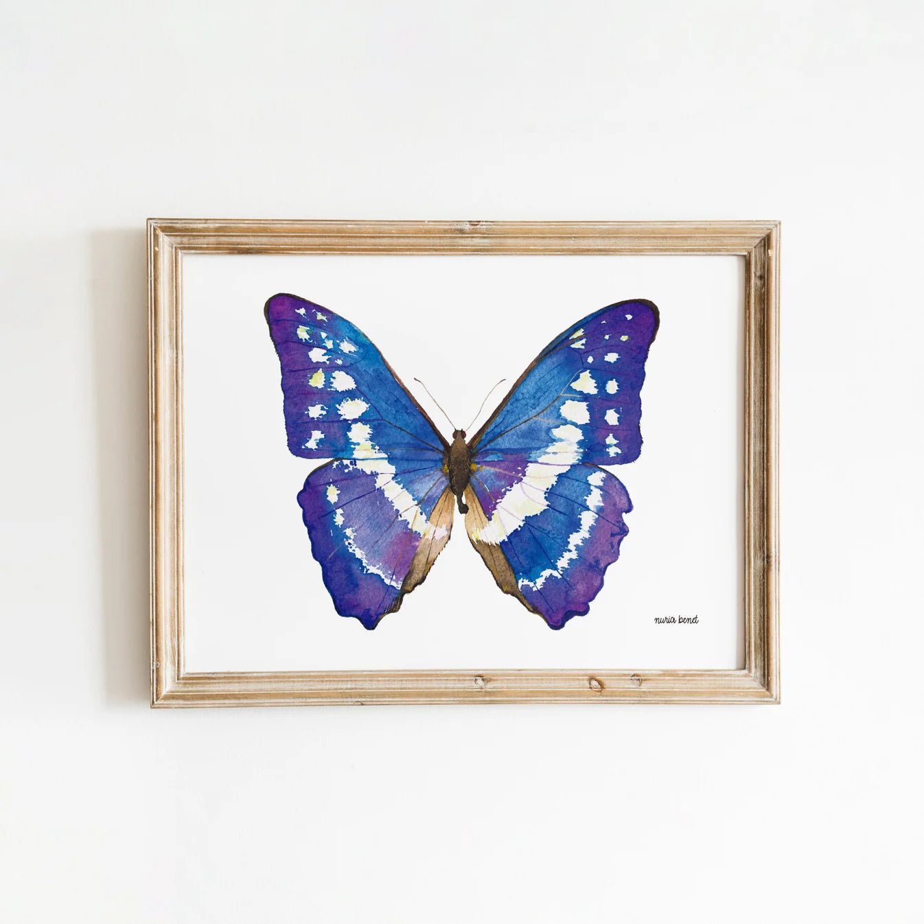 Print Nuria - Mariposa Azul - Musgo Bazar