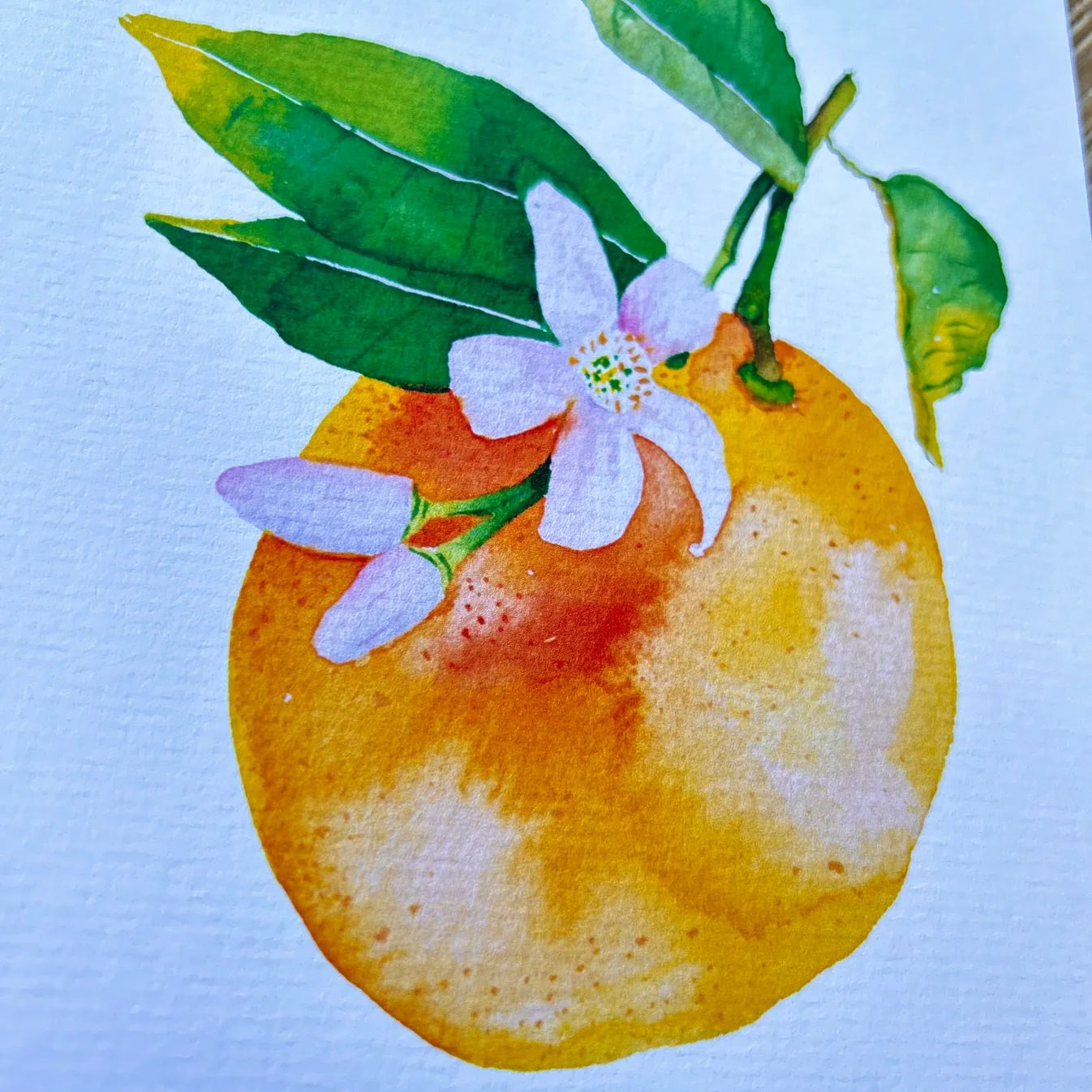 Print Nuria - Naranja - Musgo Bazar